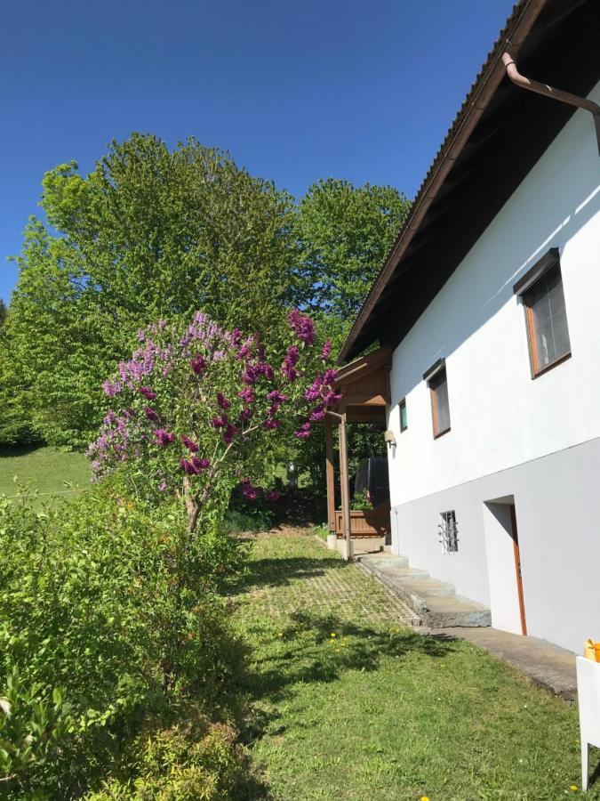 Haus Romsicht Karinthie Villa Kerschdorf Exterior photo